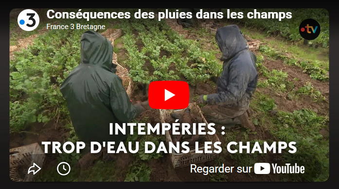 📽️ Reportage France 3 Iroise